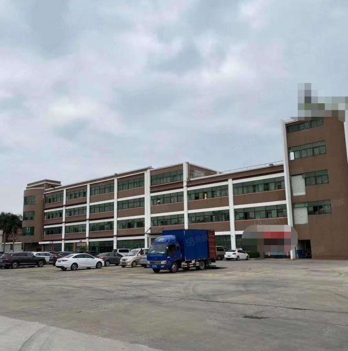 万江石美全新地坪超靓标准厂房出租