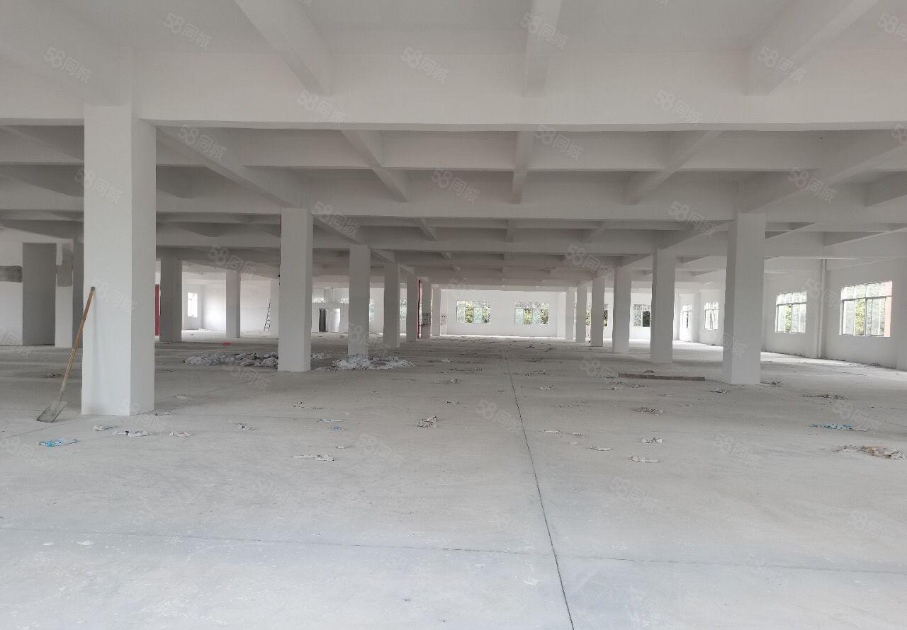 万江新出标准靓厂房，形象靓户型好，适合电子设备仓储