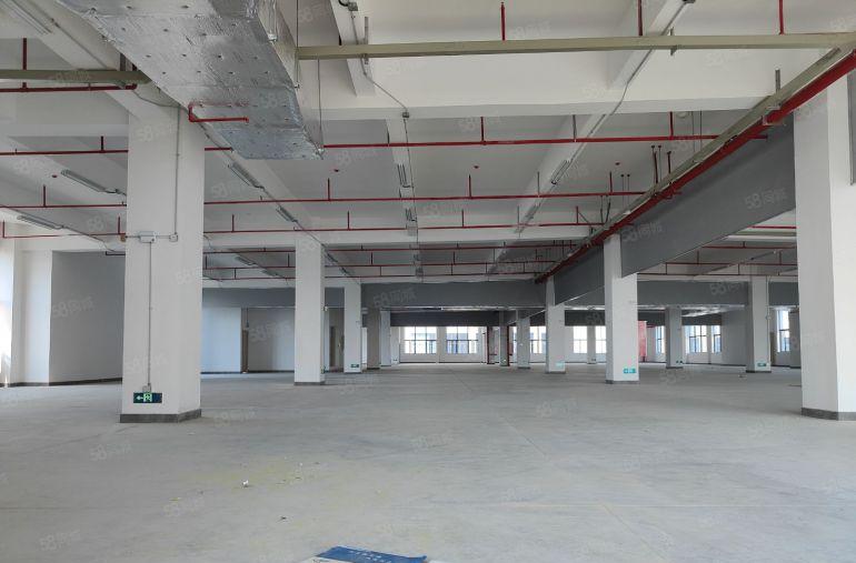 万江环城路外原房东独门独户标准厂房急租，证件齐全，环评秒过