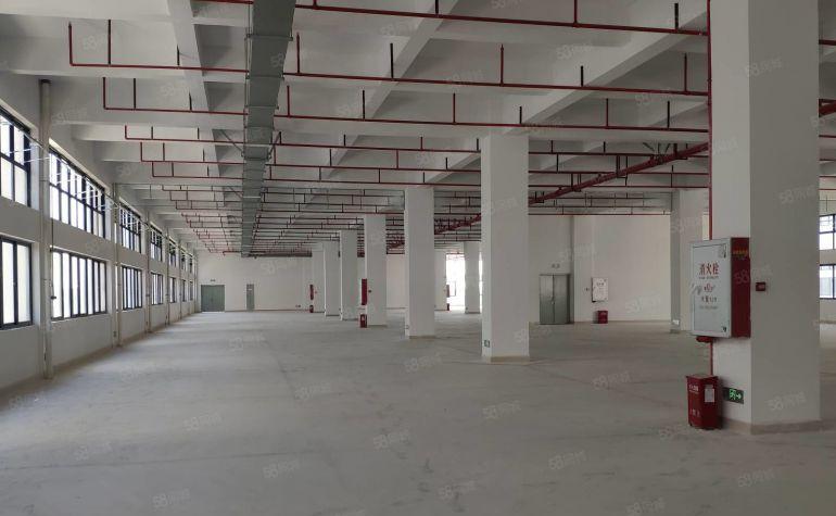 万江新村6000平方全新独栋厂房低价出租，近高速，可分租