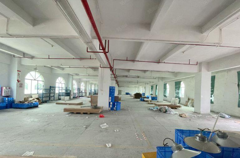 万江新和原房东三楼1280平方水电及消防齐全现成办公室院子大