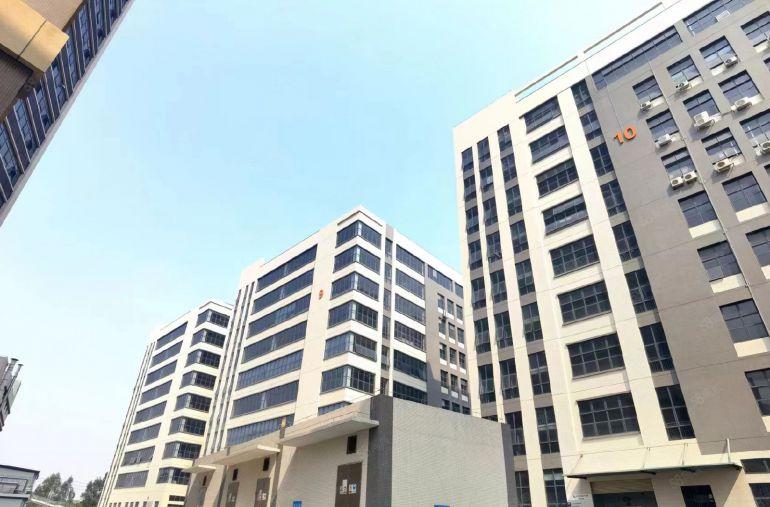 万江街道港口大道旁17层，15400方，可分租