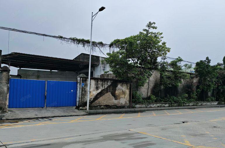 万江严屋新出750平米独门独院单一层厂房出租