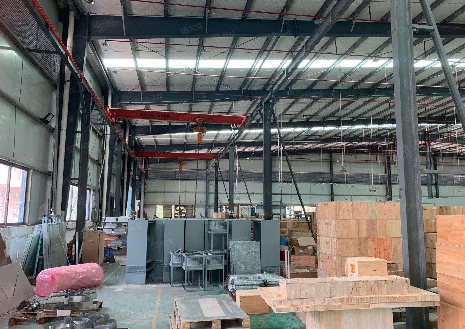 万江石美拔蛟窝莫屋蚬涌独院标准单一层厂房5000平方低价出租