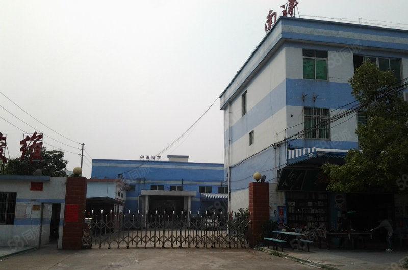 万江独门独院8米高800平方，独门独院1500平方招租