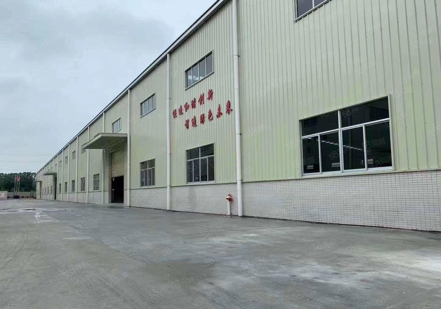 万江石美拔蛟窝莫屋蚬涌独院标准单一层厂房5000平方低价出租