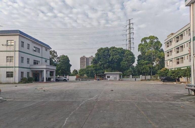 万江简沙洲港口大道旁原房东滴水8米单一层独院厂房出租