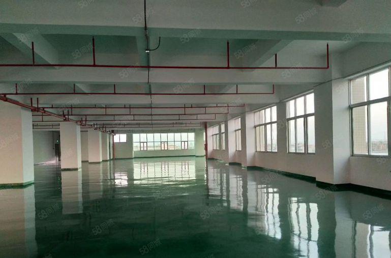 万江简沙洲4000平米原房东独院厂房低价出租