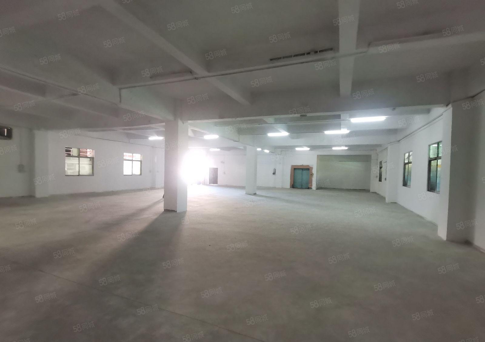 万江滘联标准厂房13F2250平出租