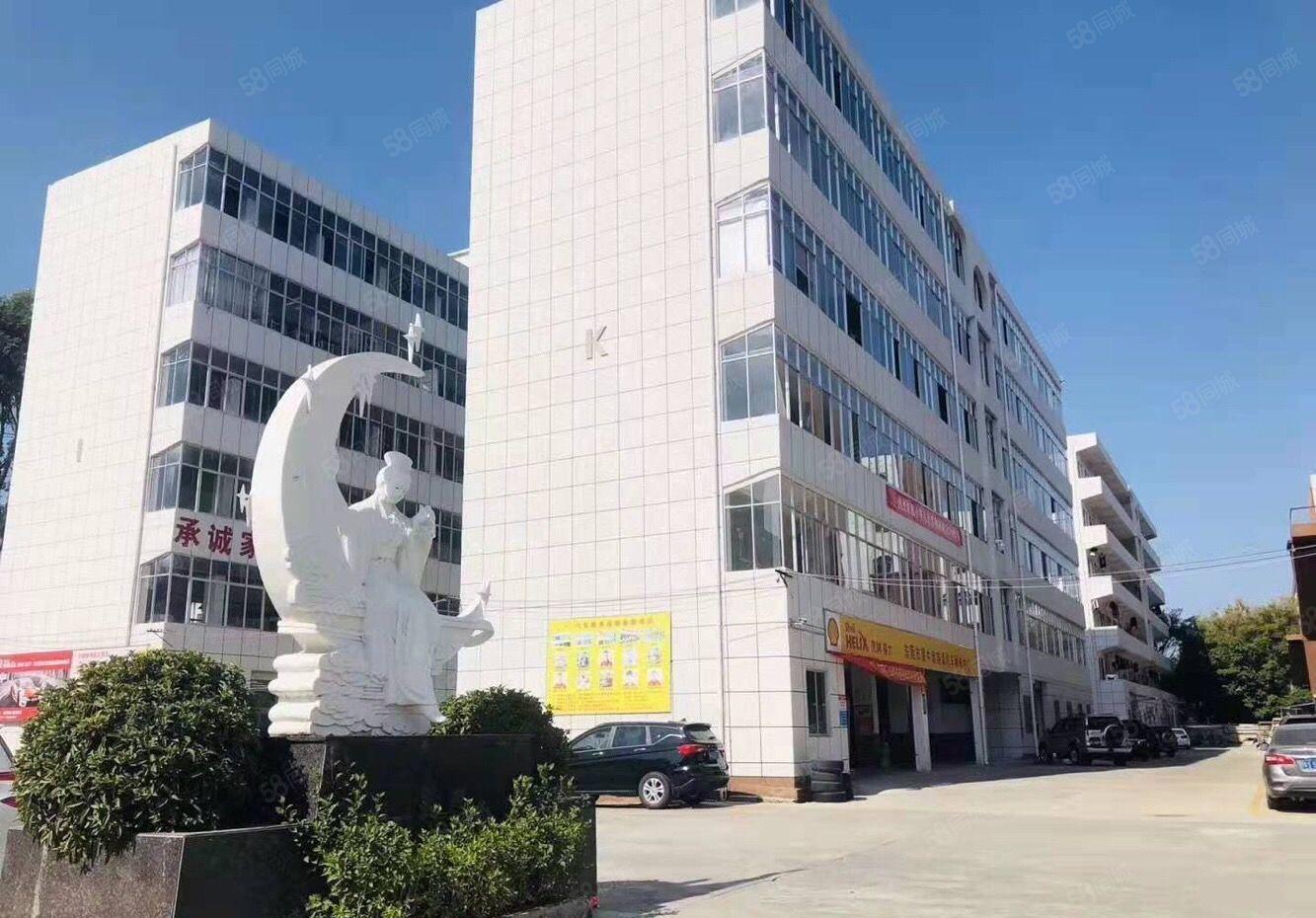 万江原房东独院标准厂房5000平方低价出租，一楼可分租单一层