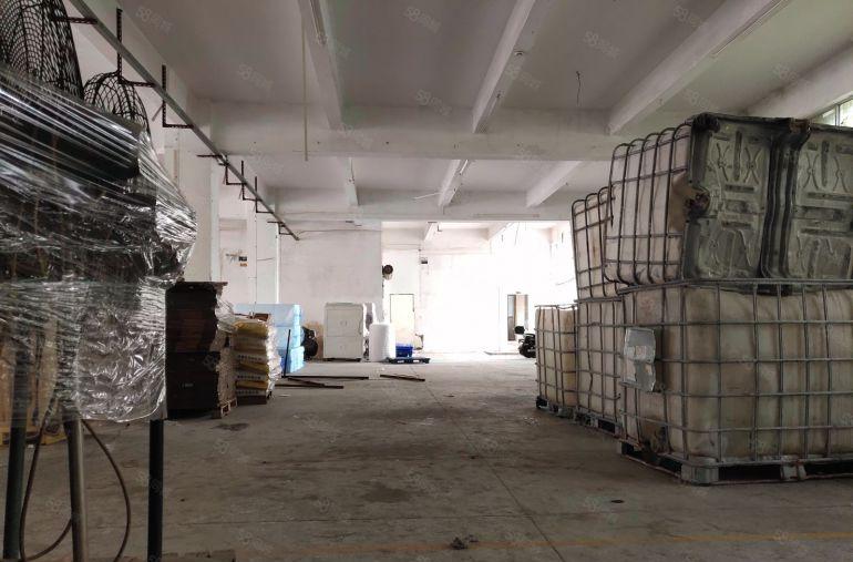 万江石美800平米标准一楼厂房招租