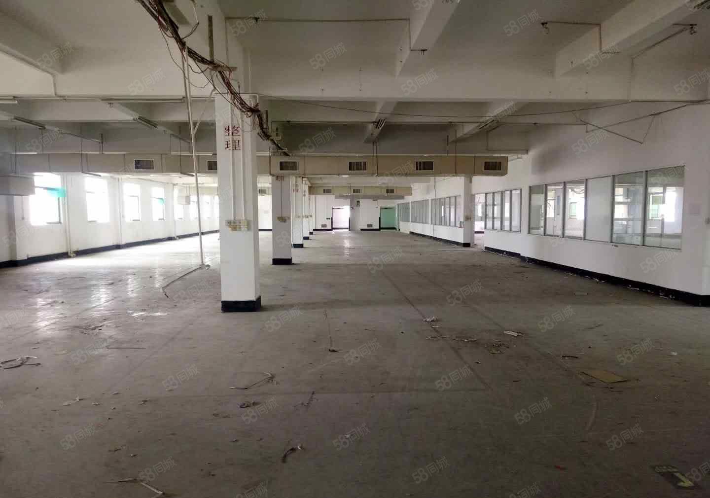 万江镇新空出标准工业园花园厂房2360平方厂房出租，易招工