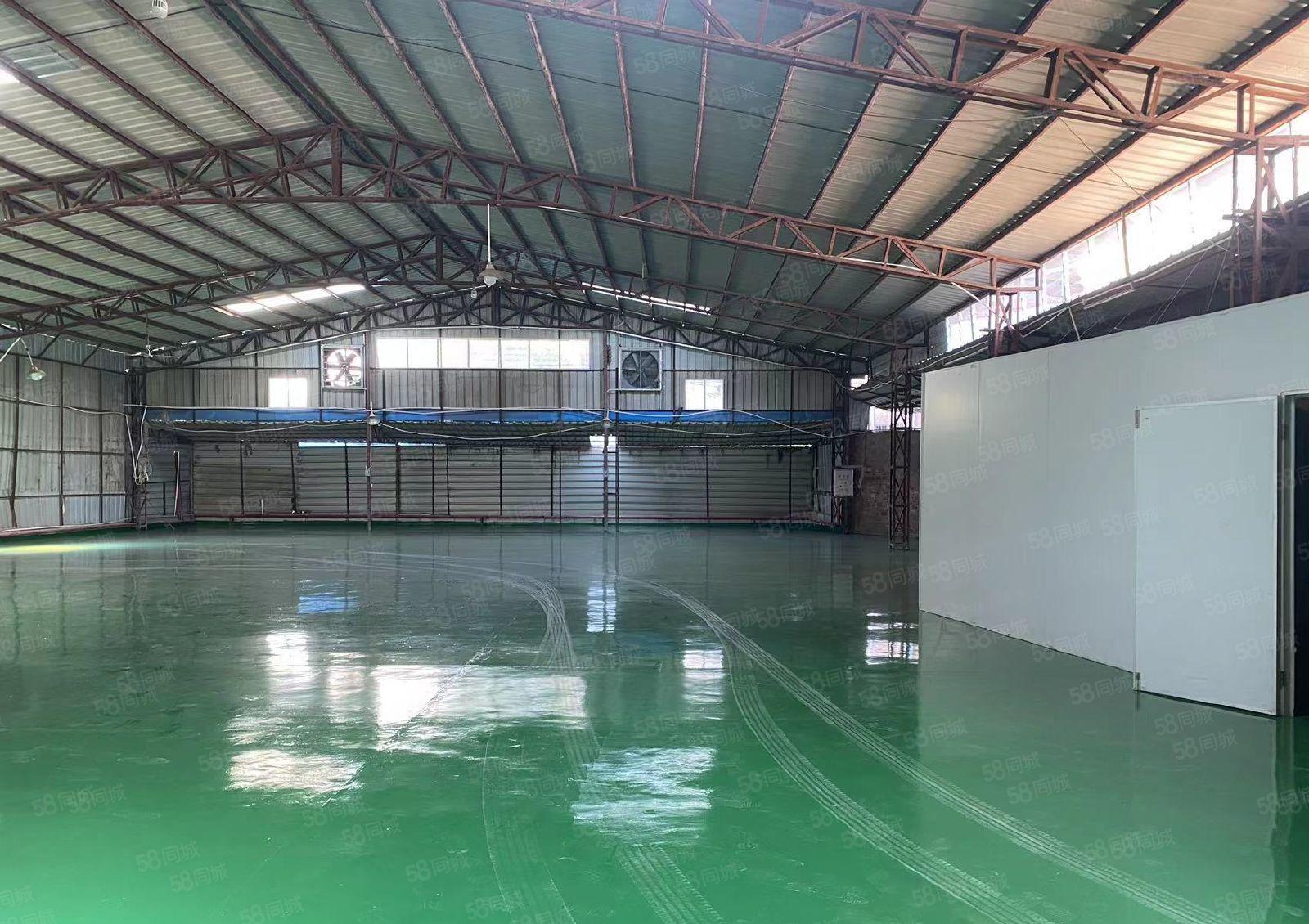 万江原房东简沙洲独院标准单一层钢构2000平厂房低价出租