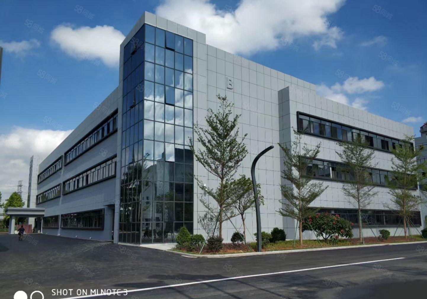 万江标准厂房出租1250平方，电100KVA，现成装修形象好