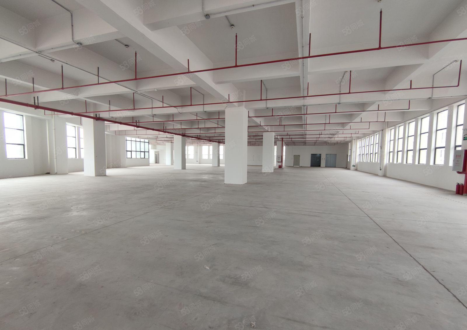 万江环城路外精装修独院红本标准厂房出租16500平米空地大