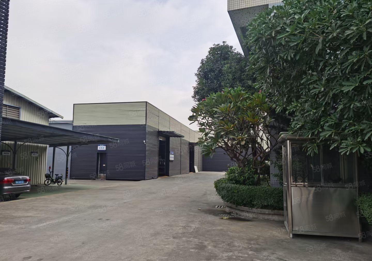 万江省道边，独门独院单一层钢构滴水10米低价厂房出租，可分租