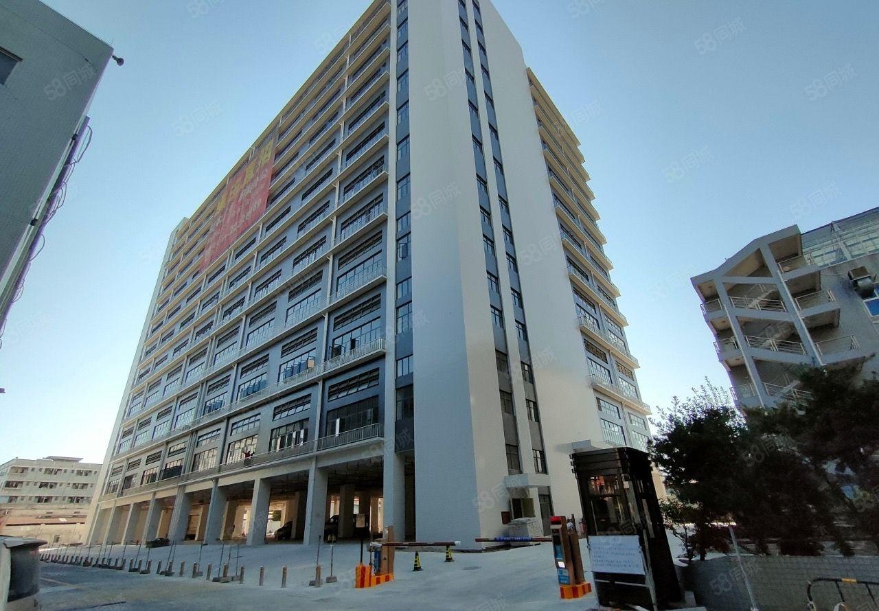 万江原房东新建标准厂房