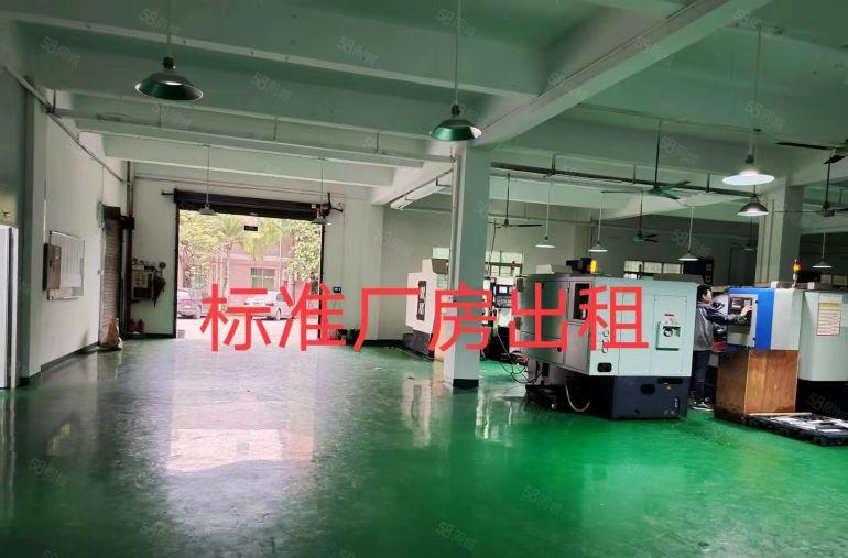 万江简装标准一楼500平方，800平方，1200平方招租