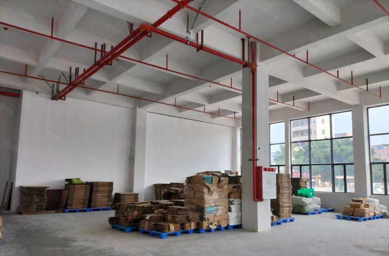 万江简沙洲厂房全新1000，2000，10000平方出租