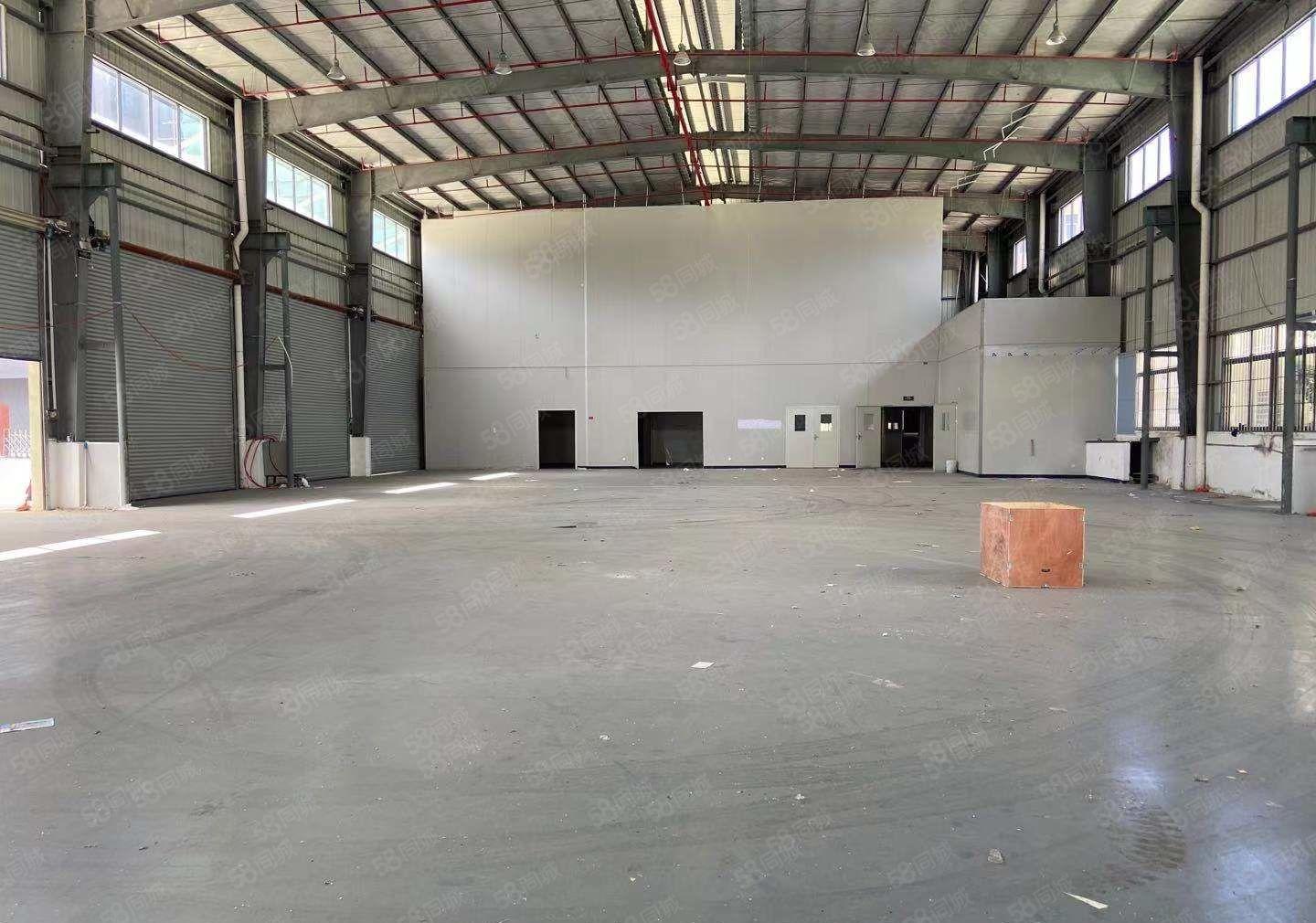 万江独院很标准的单一层厂房1000平出租，200平方起分租