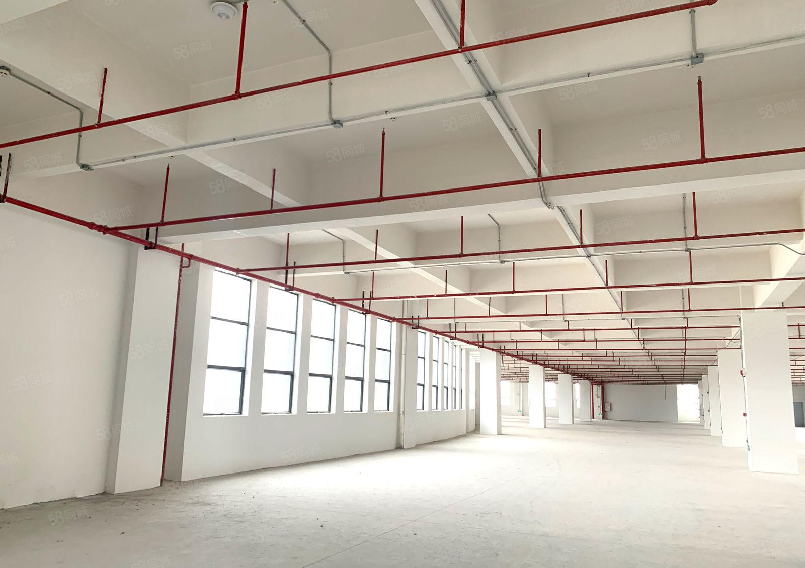 物业直租万江港口大道边产业园厂房写字楼 价格面议