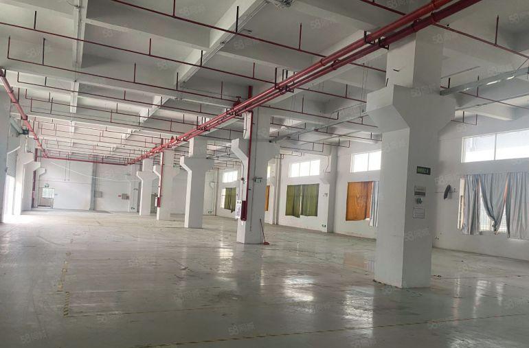 原房东自建全新独栋6000平标准厂房厂房出租，大小分租