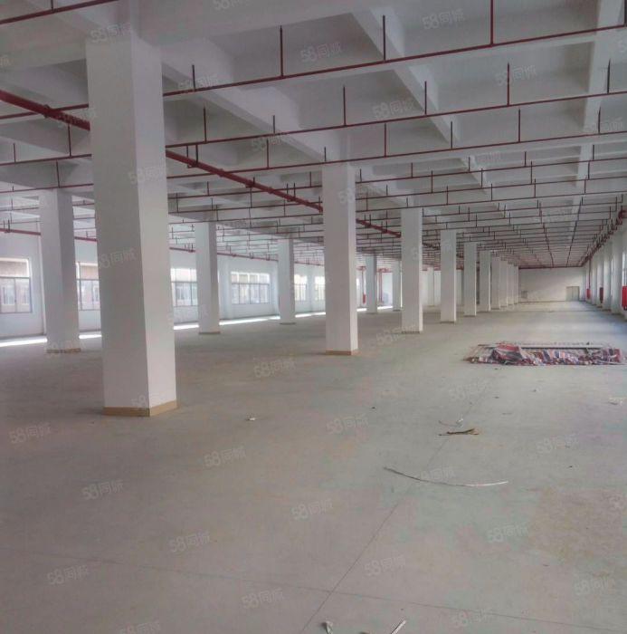万江新出一楼厂房1500平方招租，电350可增容