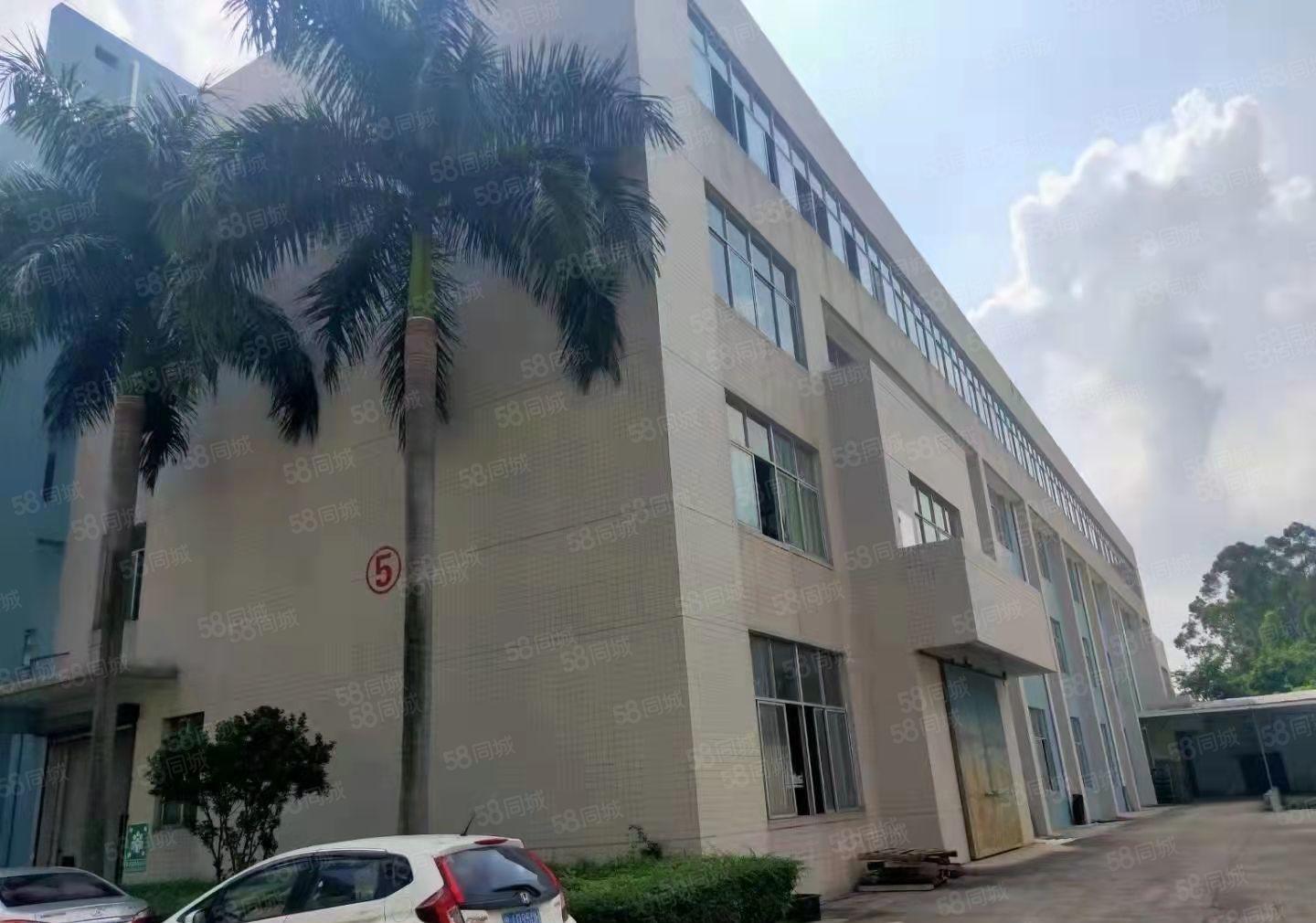 万江花园式独院标准厂房12000平方出租，可整租可分租