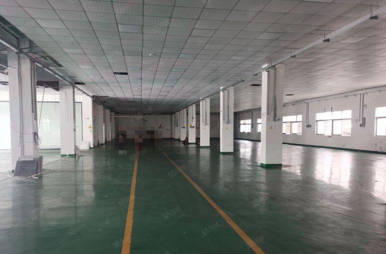 万江石美工业区新出标准厂房一楼800平方可以分租