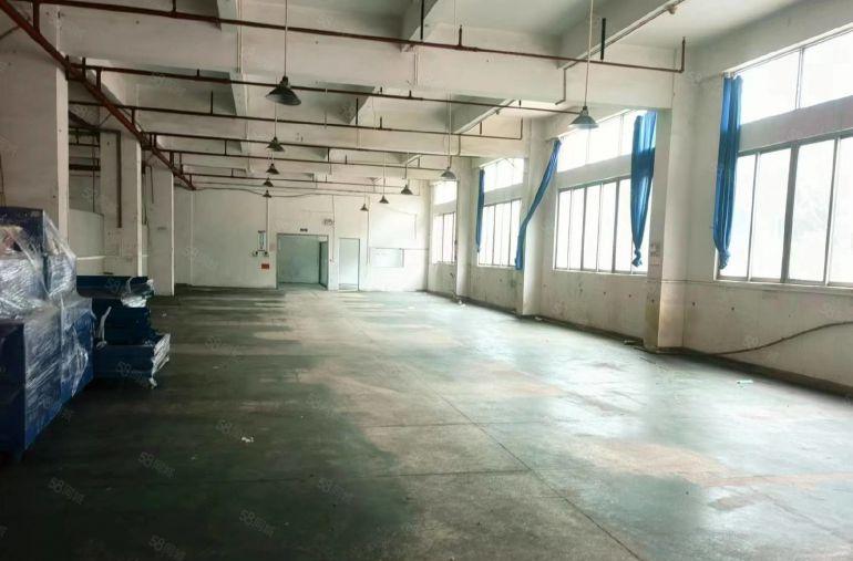 万江独门独院原房东多层厂房出租，厂房形象好，价格优惠