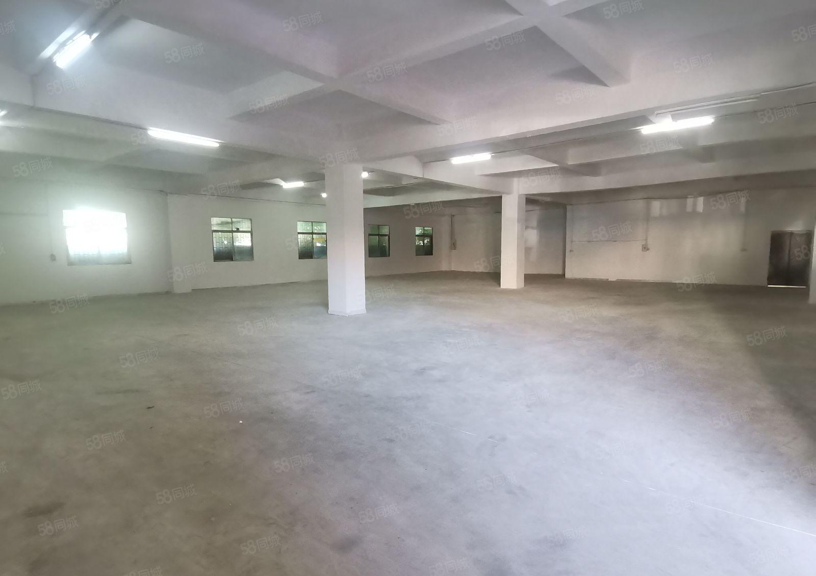 万江滘联标准厂房13F2250平出租