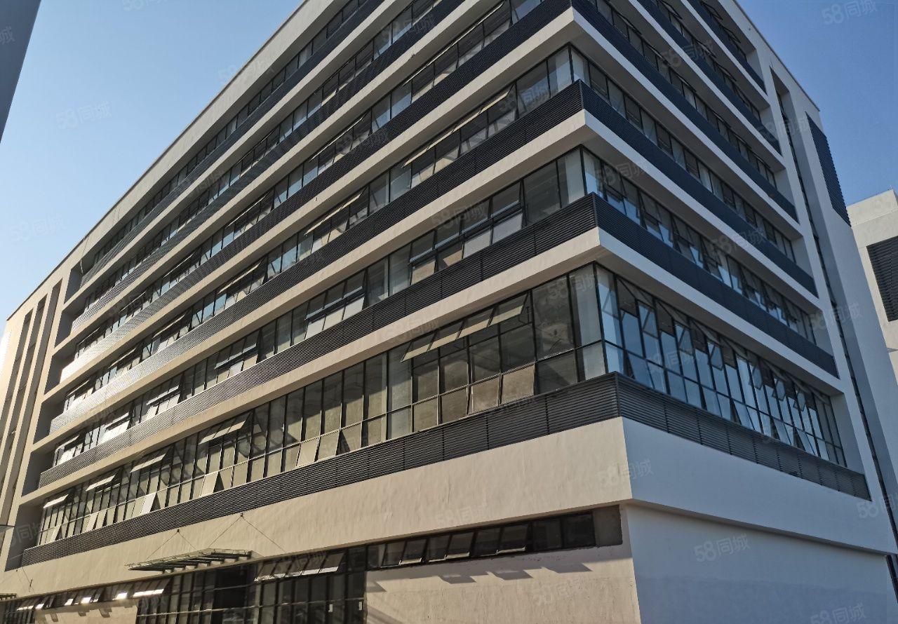 高新智能科技孵化园！智能，研发，科研，医药，无人机研发基地！