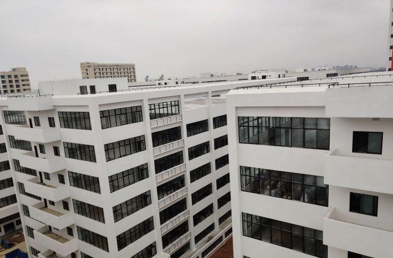 万江政府项目 中创汇智盈科技园 全新高标厂房可环评 990