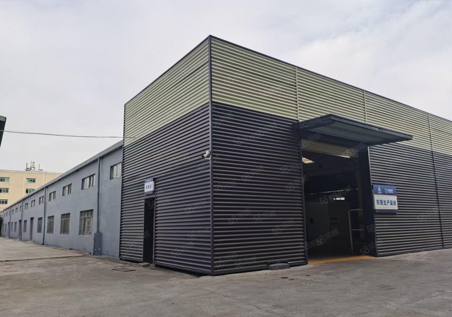 万江省道边，独门独院单一层钢构滴水10米低价厂房出租，可分租