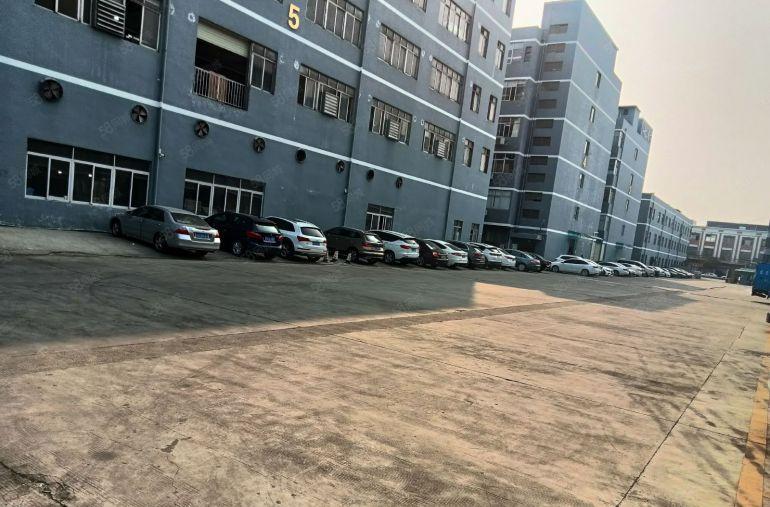 万江 工业园区标准一楼，500平方厂房 仓库，低价出租