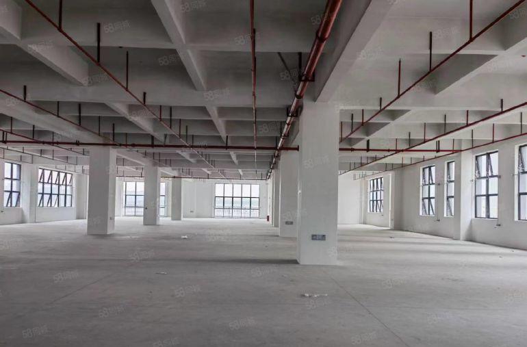 万江街道港口大道旁17层，15400方，可分租