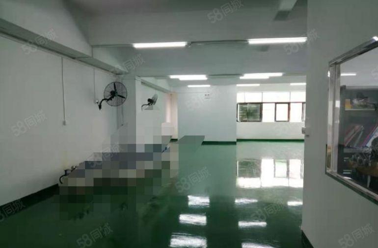 万江石美全新地坪超靓标准厂房出租