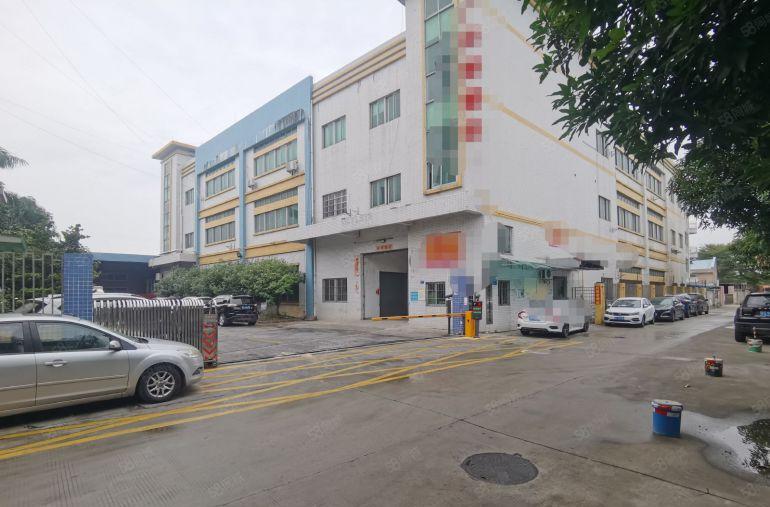 万江石美工业区新出标准厂房一楼800平方可以分租