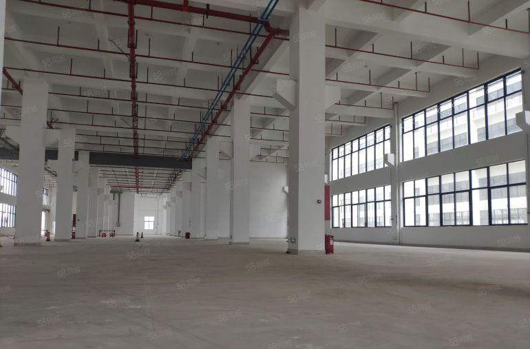 万江新村6000平方全新独栋厂房低价出租，近高速，可分租