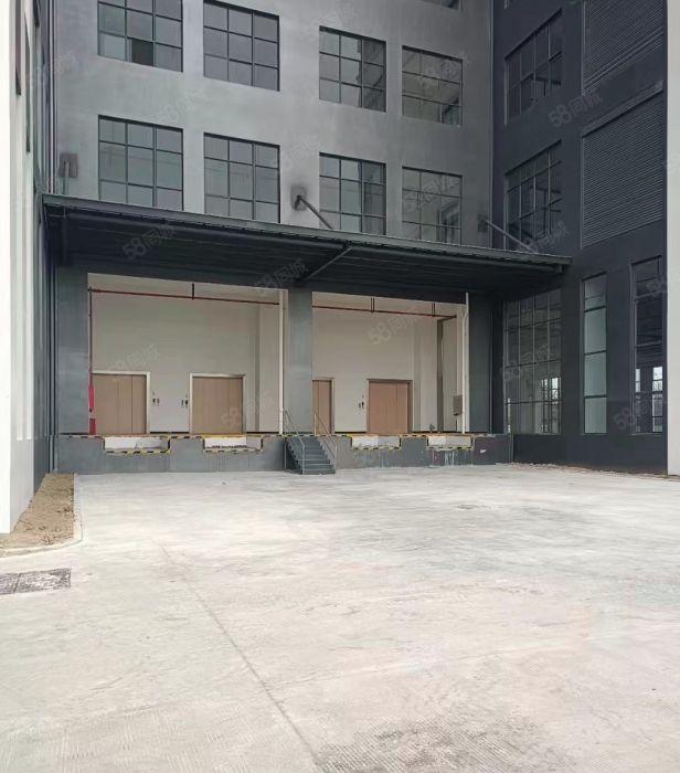 万江全新重工业标准独院厂房，原房东直租