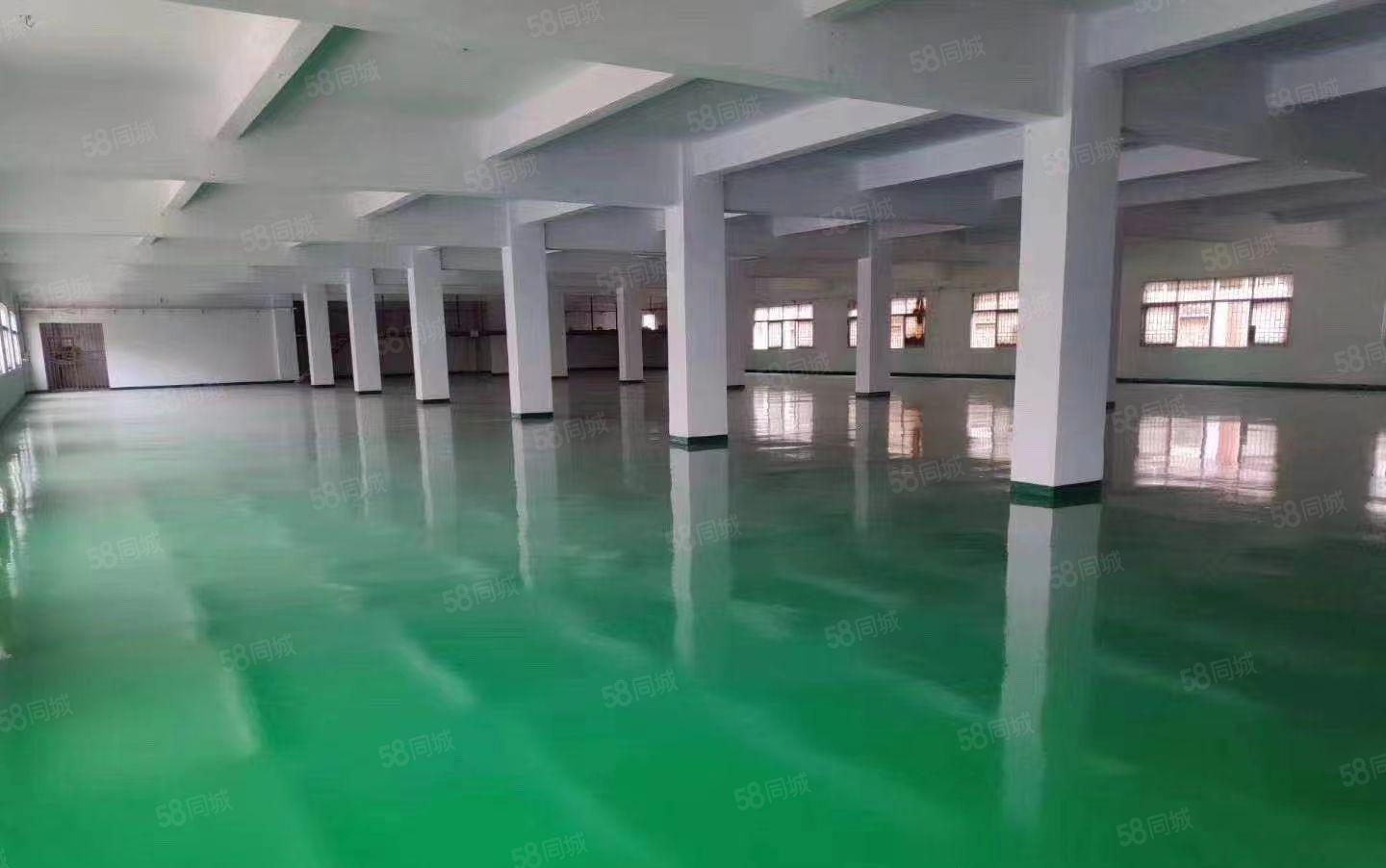 万江标准厂房出租1250平方，电100KVA，现成装修形象好