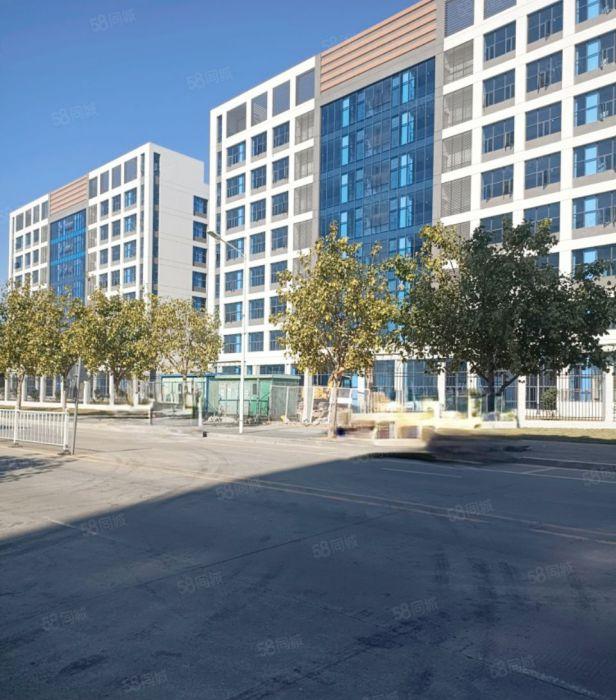 万江街道全新自建工业园区15万方，证件齐全！大小可分租！