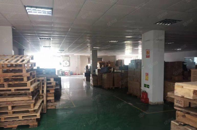 万江新和空出，全新装修，价格便宜厂房出租