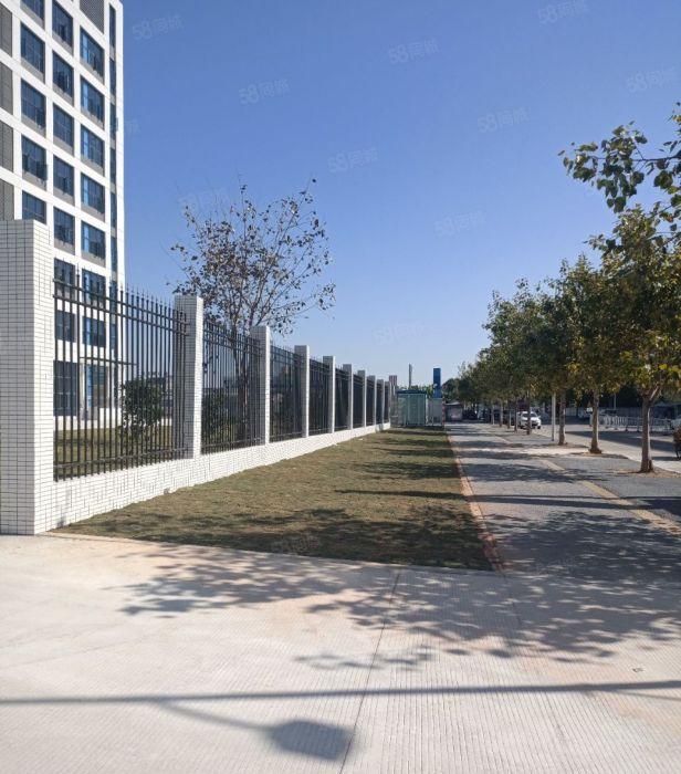 万江街道全新自建工业园区15万方，证件齐全！大小可分租！