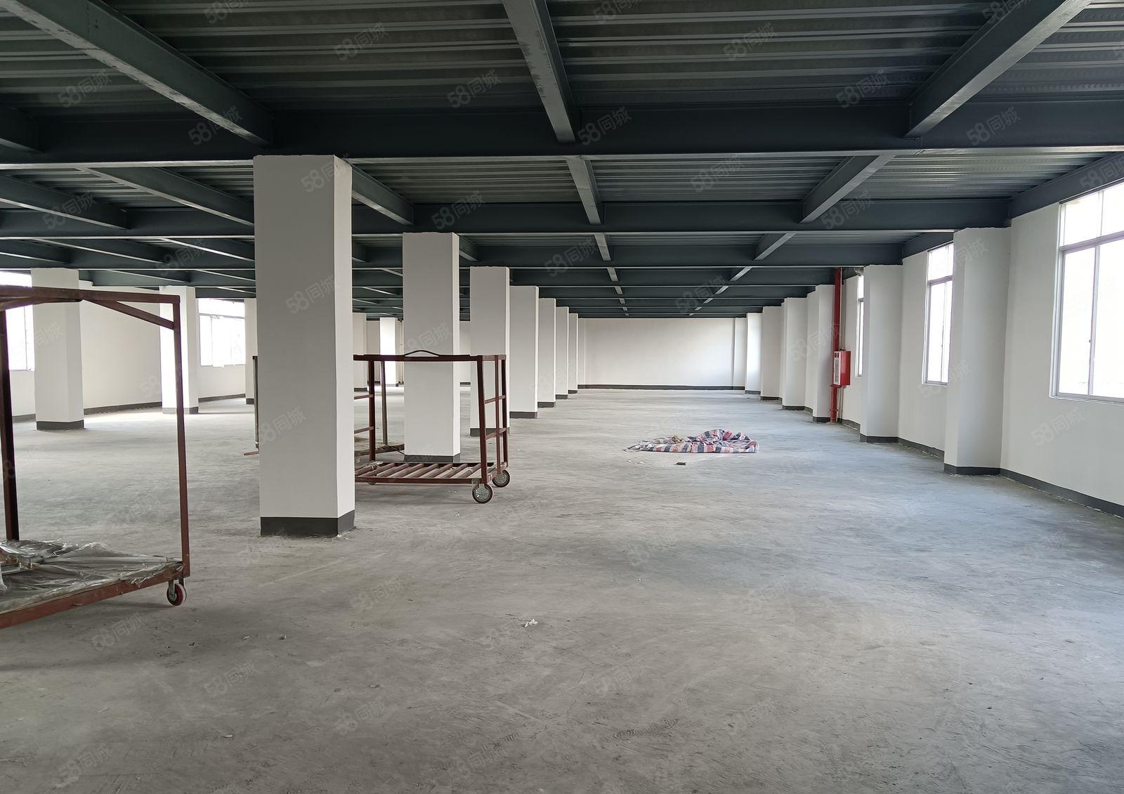 一楼600平方，带办公室