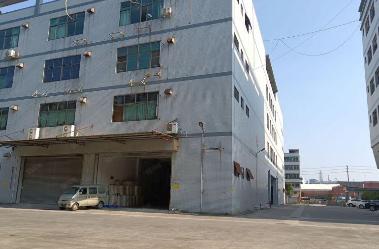 万江简沙洲厂房全新1000，2000，10000平方出租