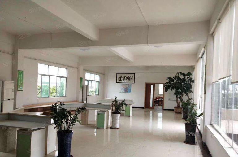 万江环城路附近原房东单一层独院1000平米出租