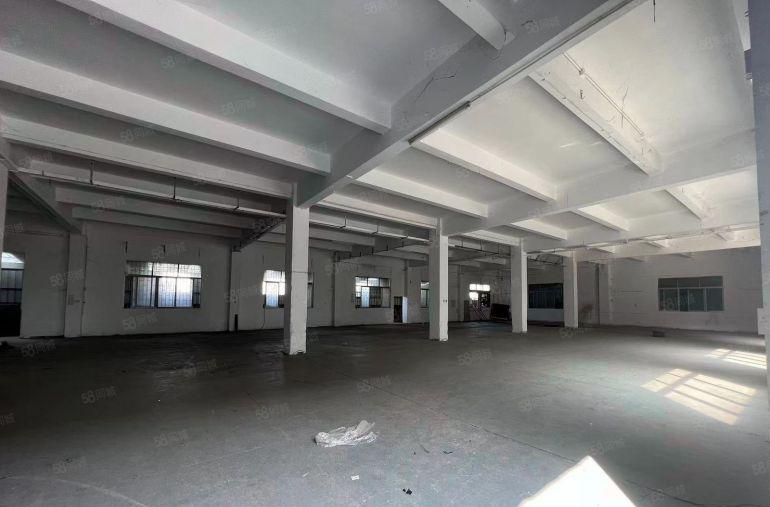 万江新出原房东标准厂房出租独院5800平方带宿舍办公可以分租