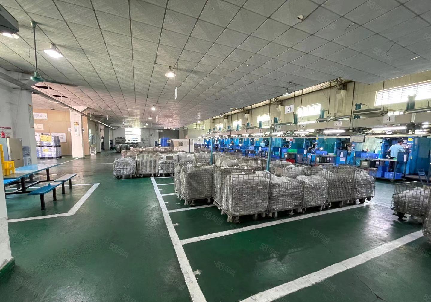 万江莫屋独门独院分租