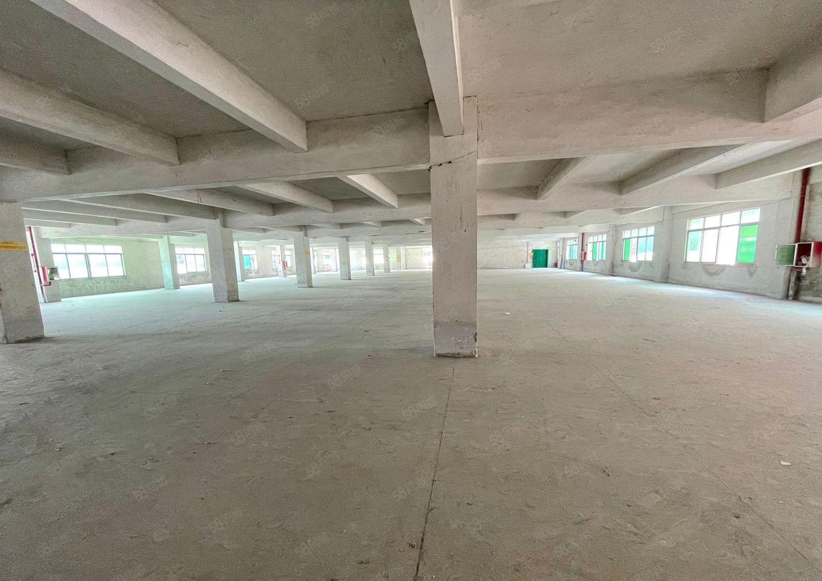 万江新和工业园标准二楼三楼各2200平方出租水电齐全院子超大